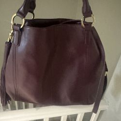 Gili “plum” Bag And A Dooney And Burke Bag