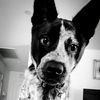 Katie