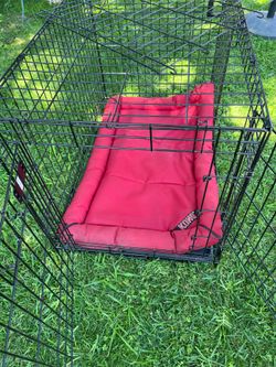 MidWest Dog Crate w/ KONG Mat 36 x 22
