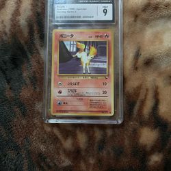 Ponyta Graded