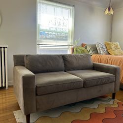 Loveseat Couch