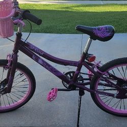 Kids Purple Bike