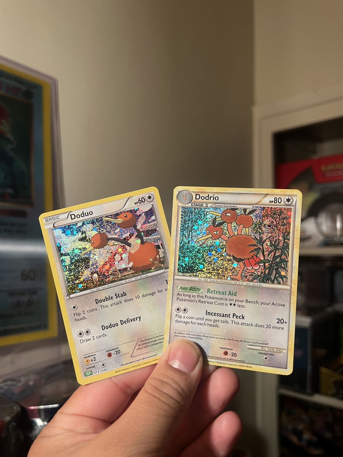 Duduo & Dodrio Pokemon Cards