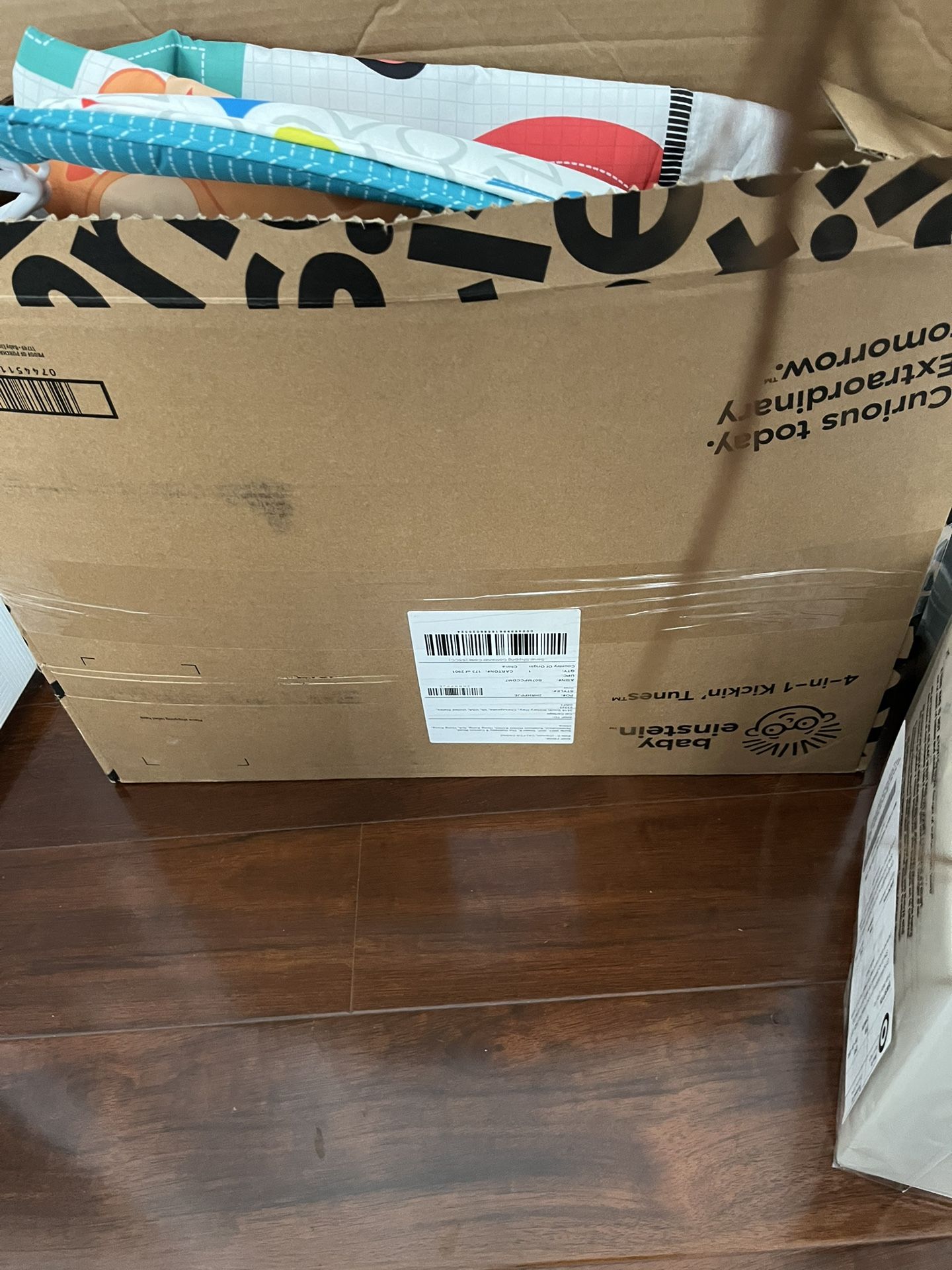 Little Einstein Play Mat