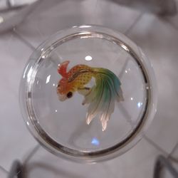 Vintage Dome Lens Magnifying Glass Half Ball Desktop Office Paperweight.(Sell only Dome; Fish not incluid)