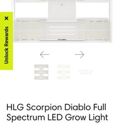 Diablo Scorpoion