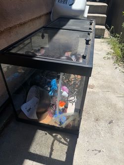Large Glass Reptile Terrarium with Accessories 48x18x21