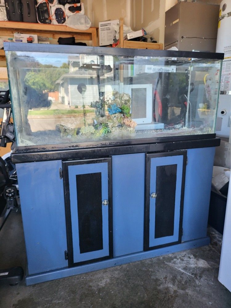 55 Galons Tank And Beautiful Stand Included