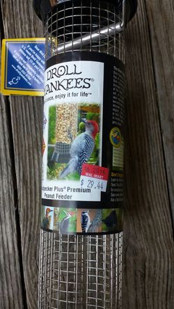 Droll Yankees woodpecker Plus premium peanut feeder brand new lifetime warranty
