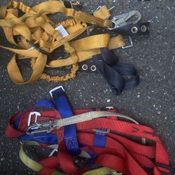 Harnesses 