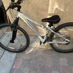 Specialized Rock Hopper Mountain Bike “26” 