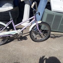 Kids schwinn bike