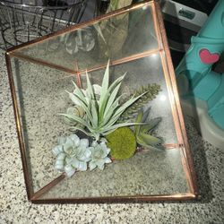 Decorative Fake Plant