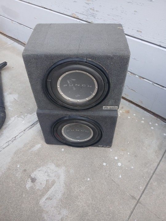 10" Punch Woofer
