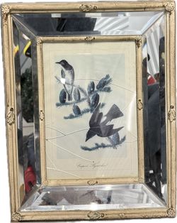 VINTAGE MIRROR BIRD FRAME COOPER'S FLYCATCHER
