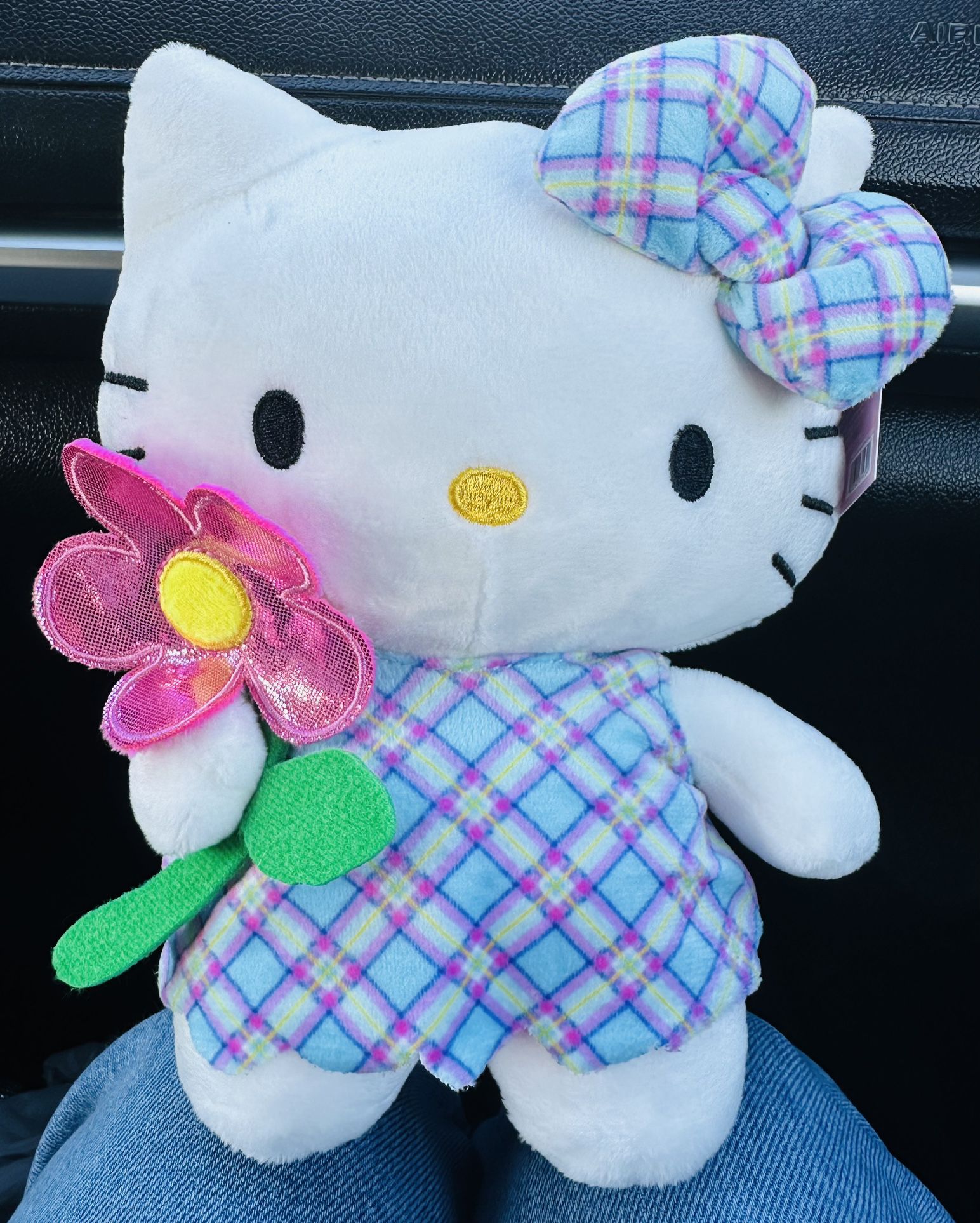 Hello Kitty And Friends Plushies 