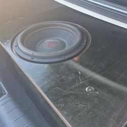 15 Massive Hippo Xl 3000 Rms I Custom Box 480 Today 