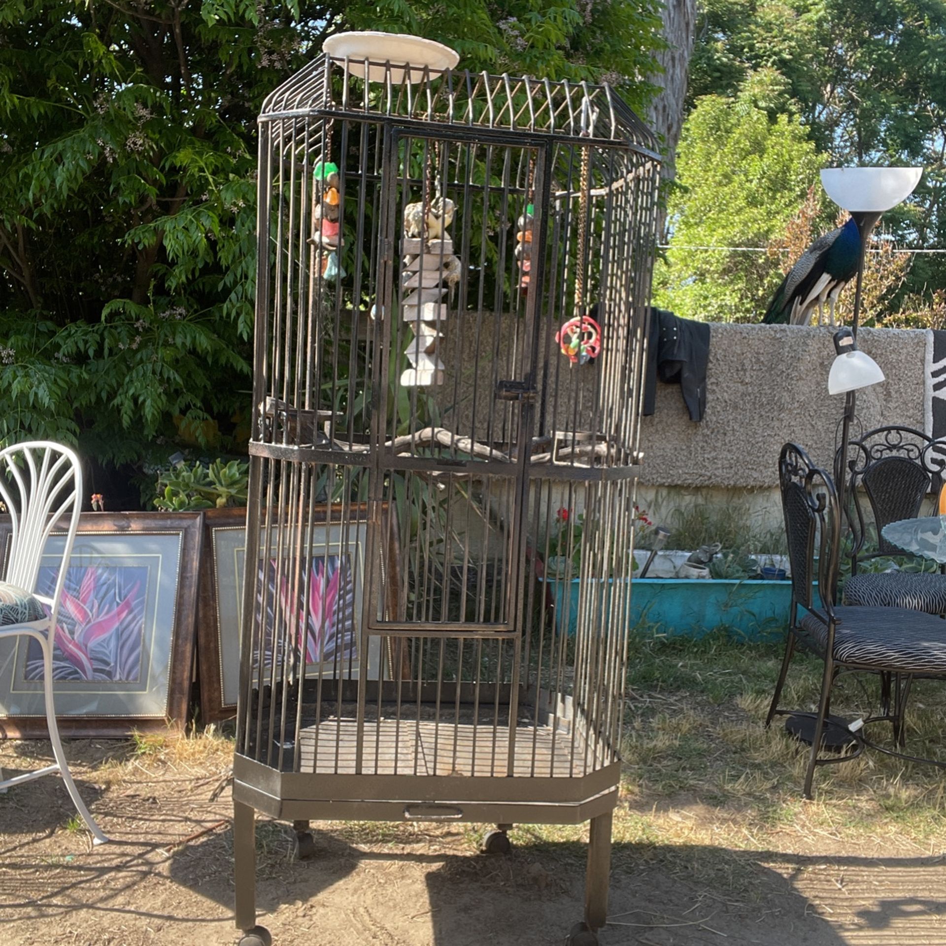 Bird Cage