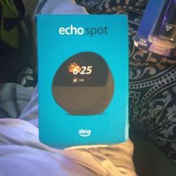 Echo Spot