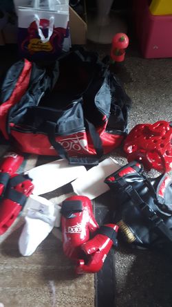 Boxing gloves feet covers chest cover head cover and bag and Extras