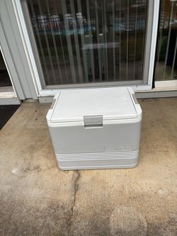 Igloo hot/cold cooler