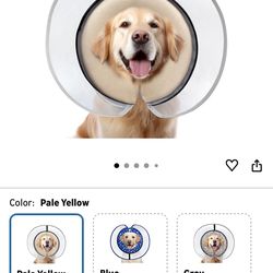 Dog Cone Large