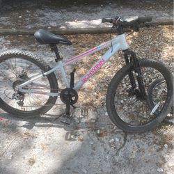 24 Inch Mountain Bike $160