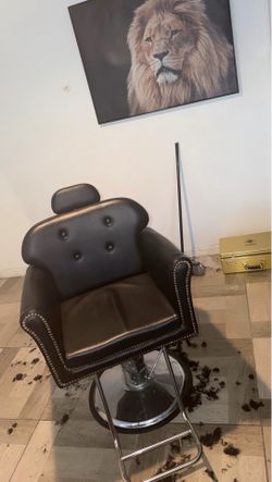 Barber chair reclines