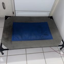 Chewy Elevated Pet Cot – Large, Indoor/Outdoor