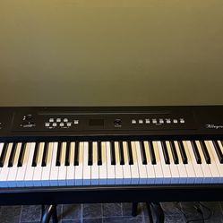Williams Allegro Piano - 88 Keys And Sustained Pedal