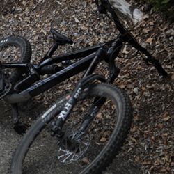 Canyon Torque Mullet CF 8