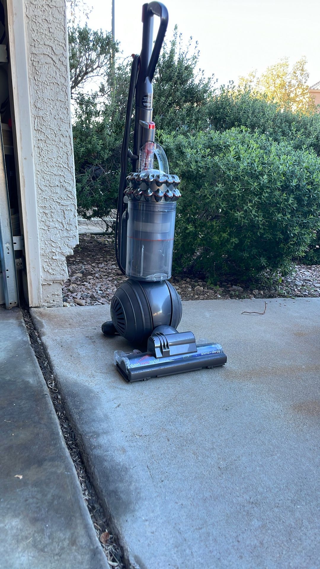 Dyson Big Ball Animal+ Allergy Vacuum Cleaner