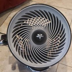 Vornado Fan