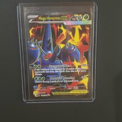 Mega Heracross Ex