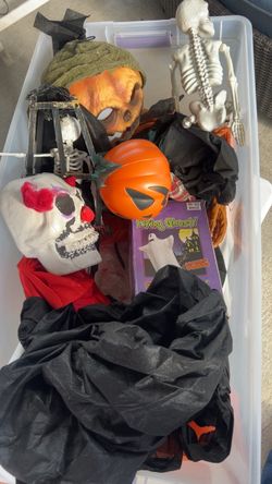 Halloween Decorations