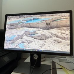 Dell 24 Inch Monitor 