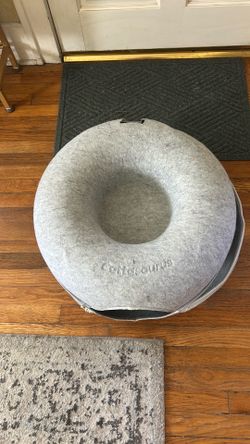 Catasaurus cat tunnel