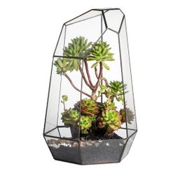 NCYP Large Geometric Terrarium - 16 Inches Tall Irregular Open Glass Terrarium Pot - Home Garden Tabletop Decoration Planter for Air Plants Succulents