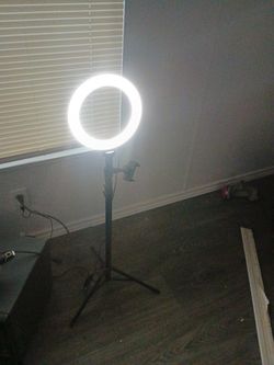 Content Creator Light
