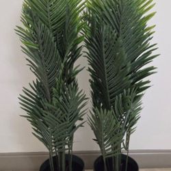 *** NEW LOW PRICE *** PAIR of 52" Areca Palms in 11" Green Resin Planters @ Lasting Creations