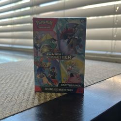 Pokemon (Journey Together)