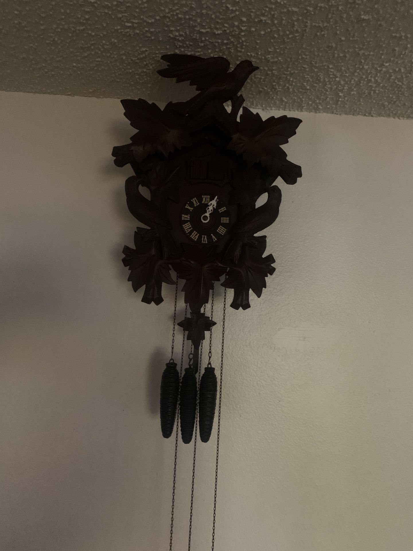 German Made Coo-coo -clock
