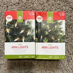 Clear Mini Lights - 100 Lights