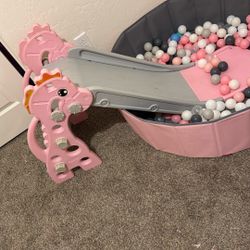 Slide With Ball Pit