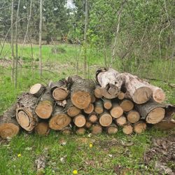 Apple And Cherry Wood