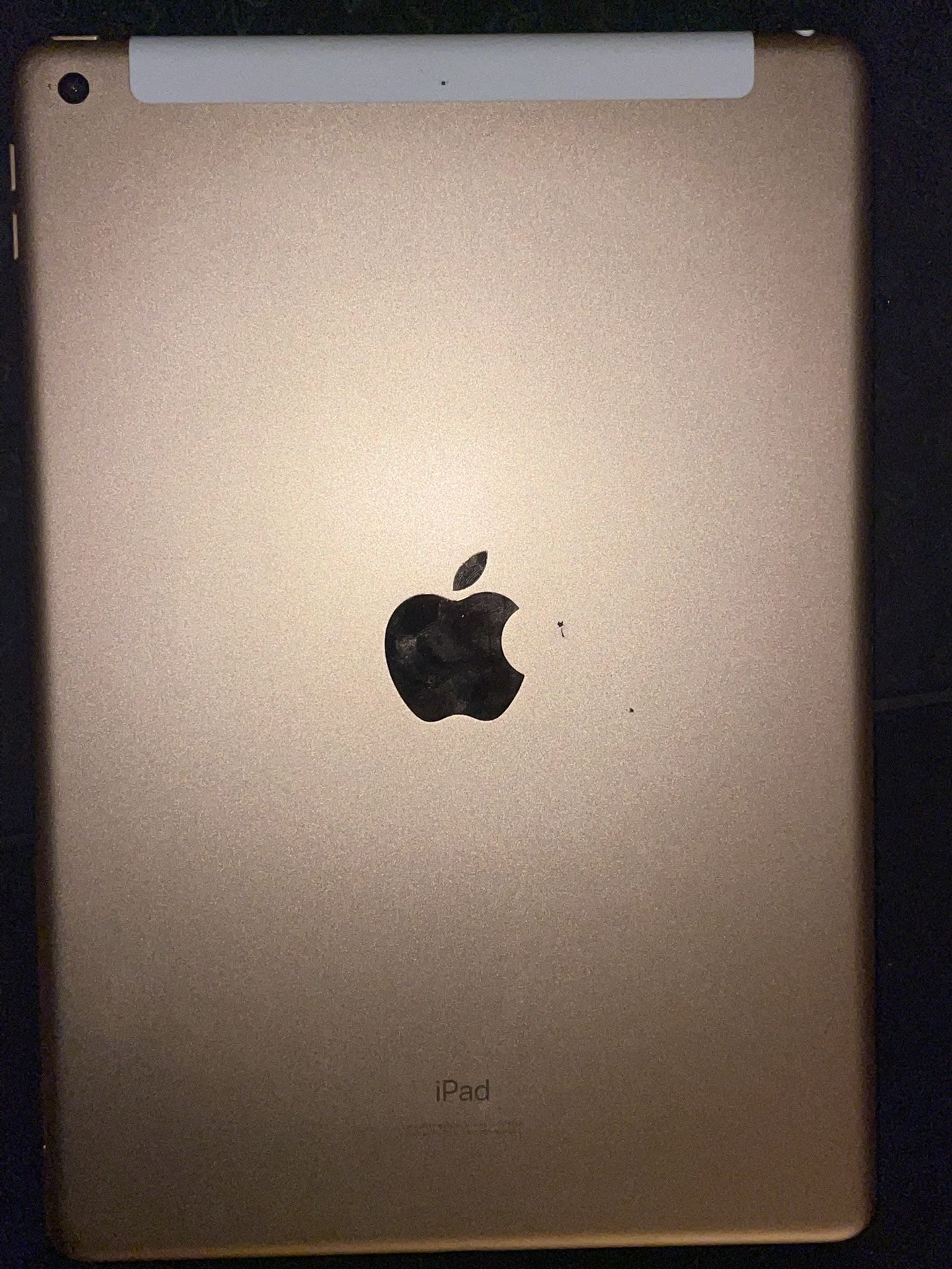 iPad