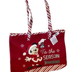 Disneyland Bag