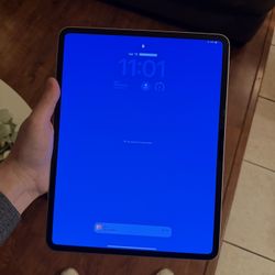 iPad Pro 12, 12.9 Inch Screen 