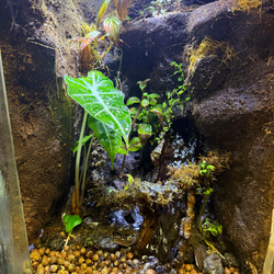 Beautiful waterfall tank