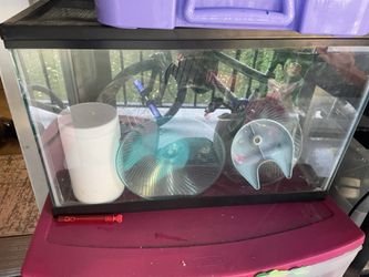 10 gal aquarium with accessories 